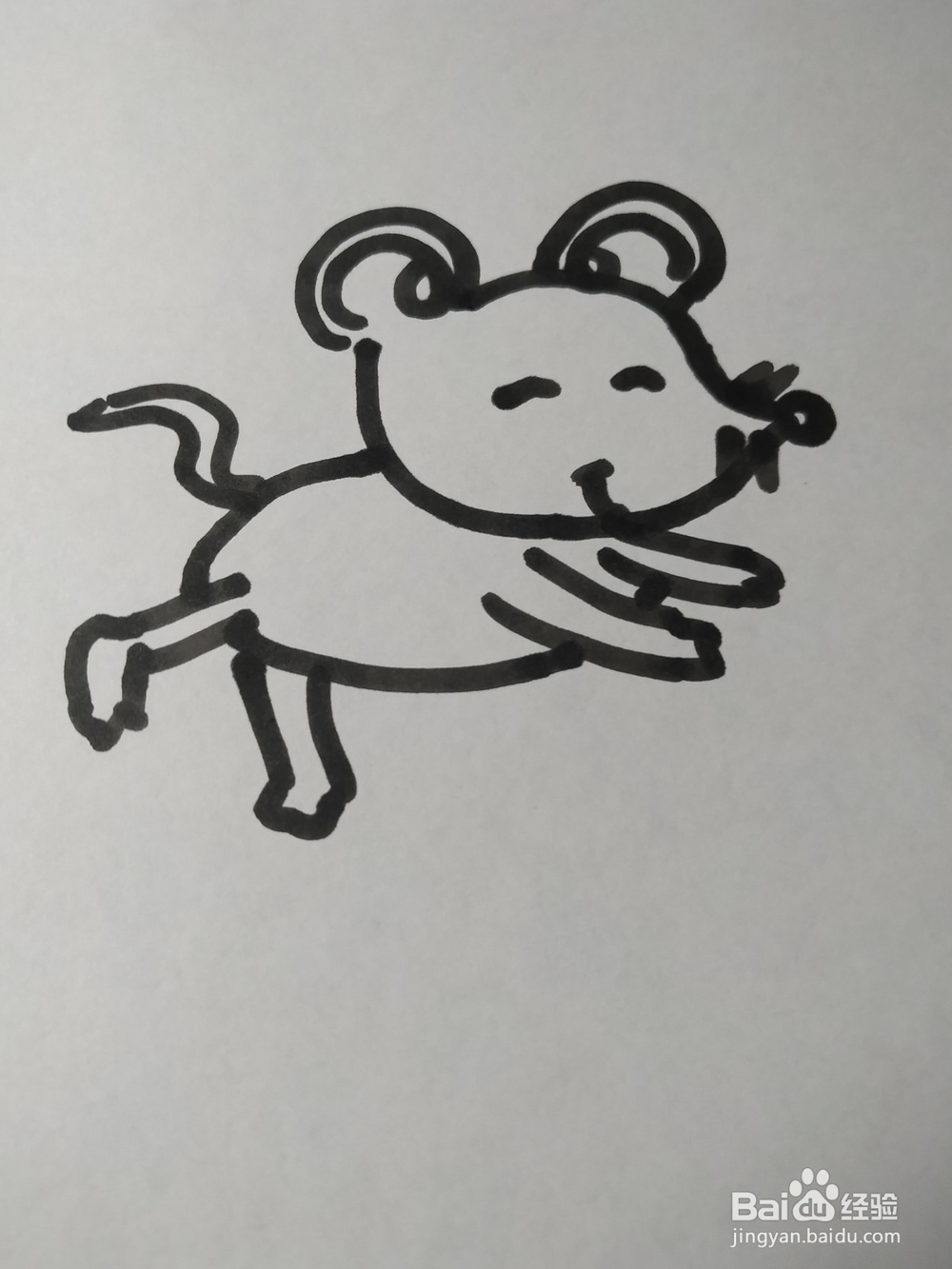 老鼠的简笔画技法36