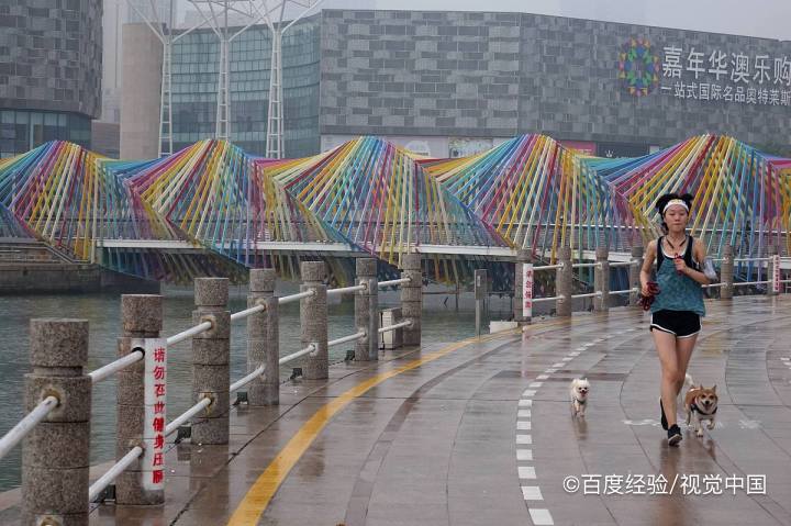 桥梁与风的作用应该怎么考虑