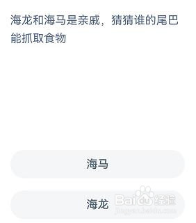 海龙和海马谁的尾巴能抓食物？神奇海洋10.18