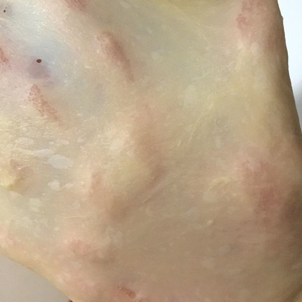 葱香肉松面包卷