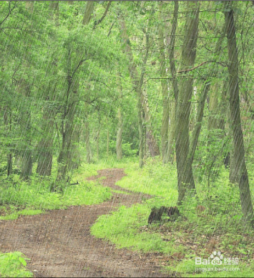 用Adobe Photoshop软件制作下雨的效果