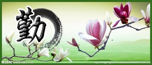 计算机二级考试攻略