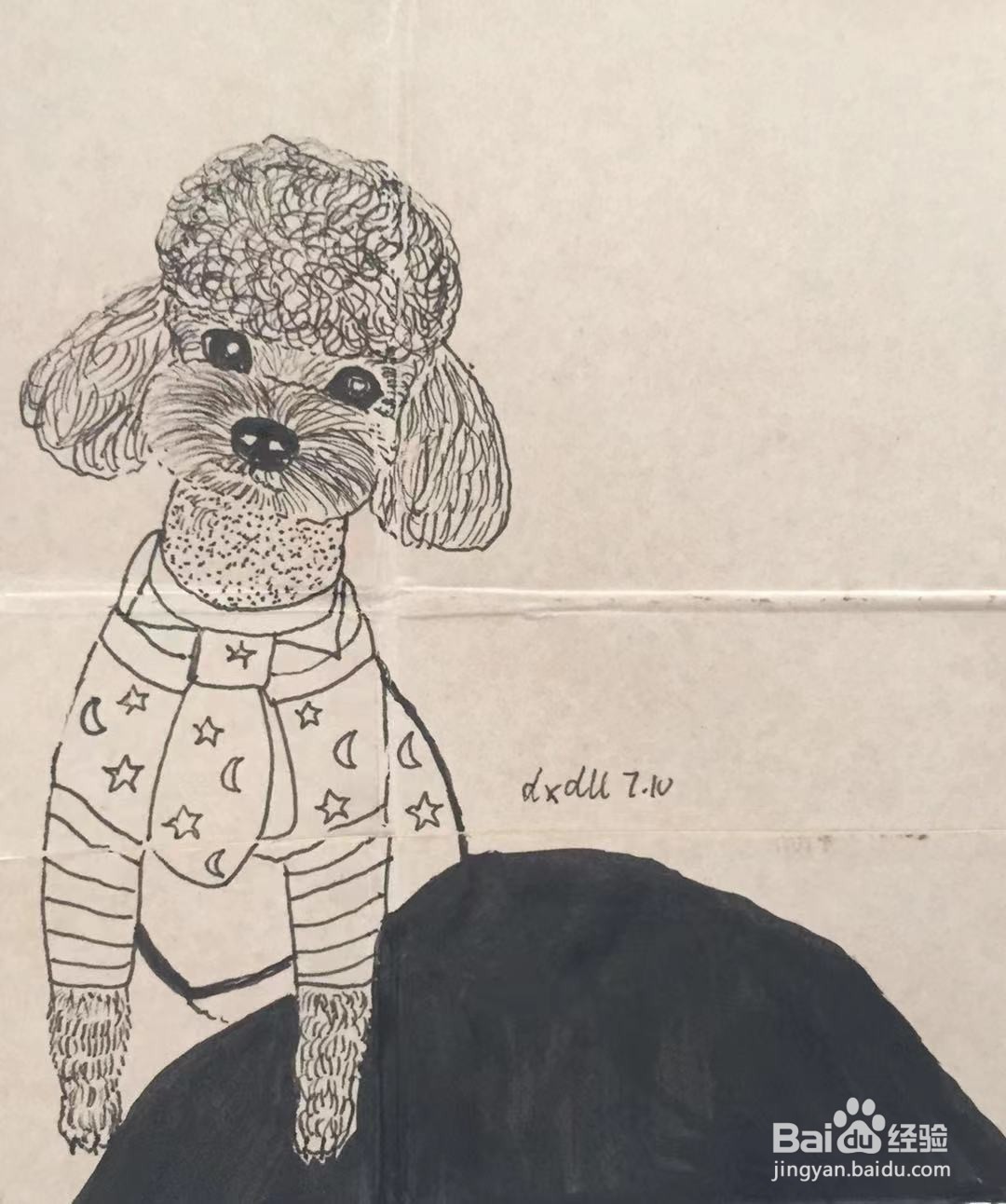 彩铅画教程之萌宠泰迪犬