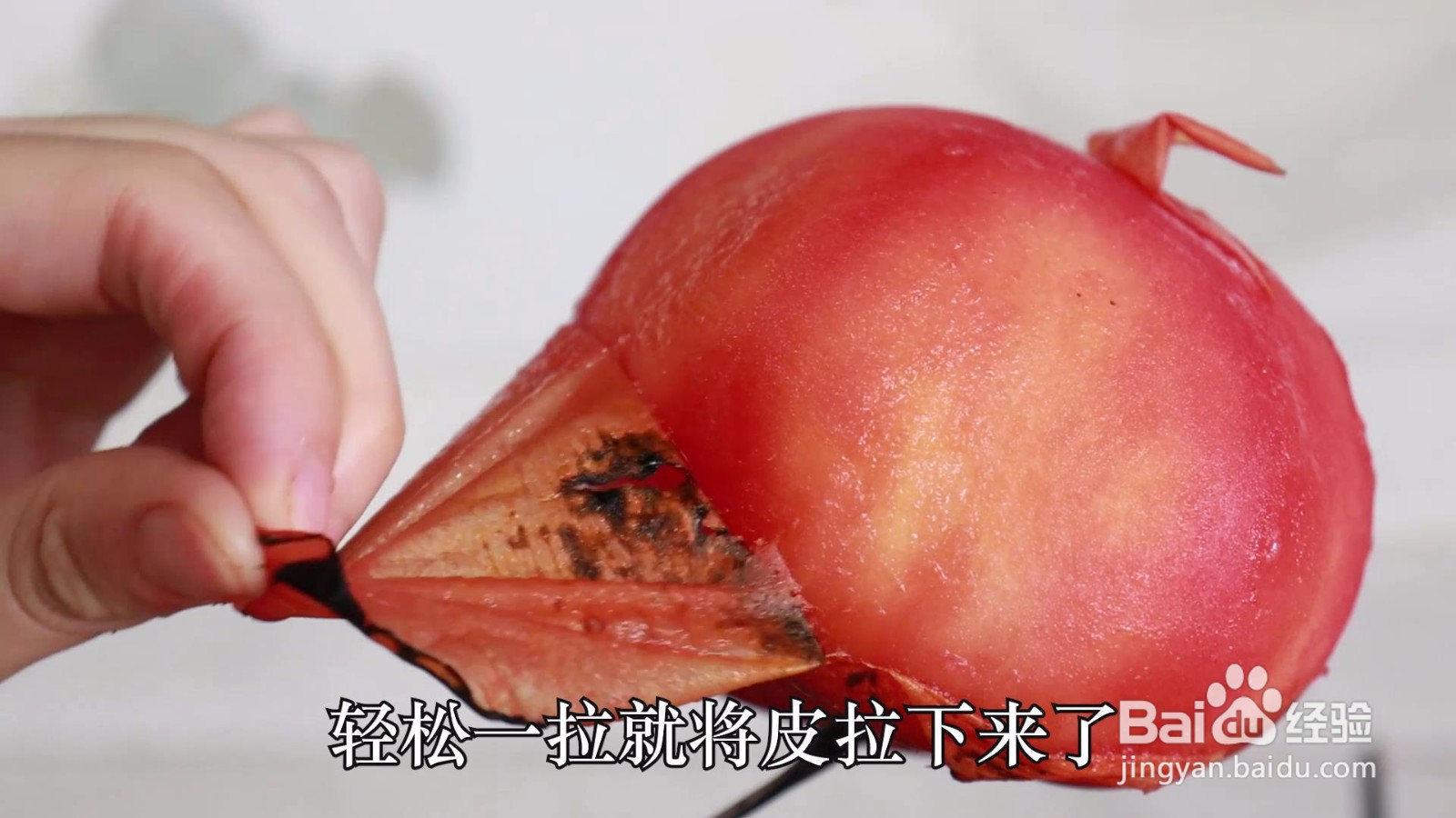 怎么给番茄剥皮？三种方法简单方便#招募令2.0#