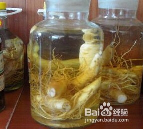 人参的服用方法分享