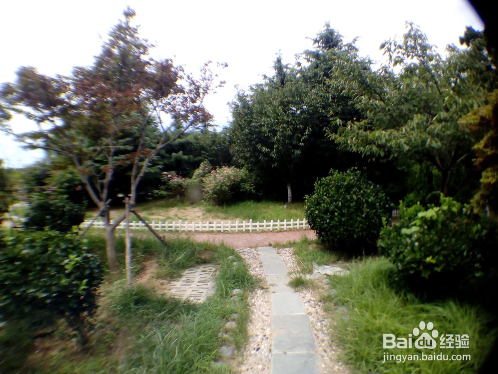 细细游青岛之太平角公园