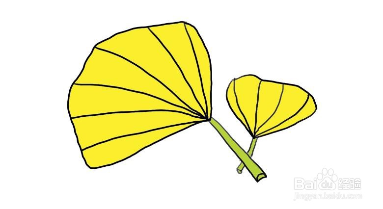 植物简笔画，怎么画银杏叶