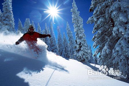 滑雪初学者需要掌握的要领