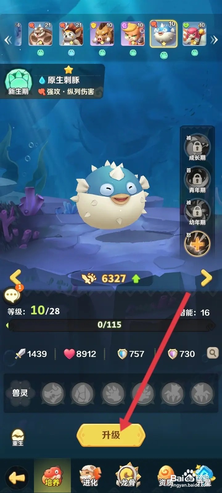 最后的原始人如何升级原生刺豚宠物