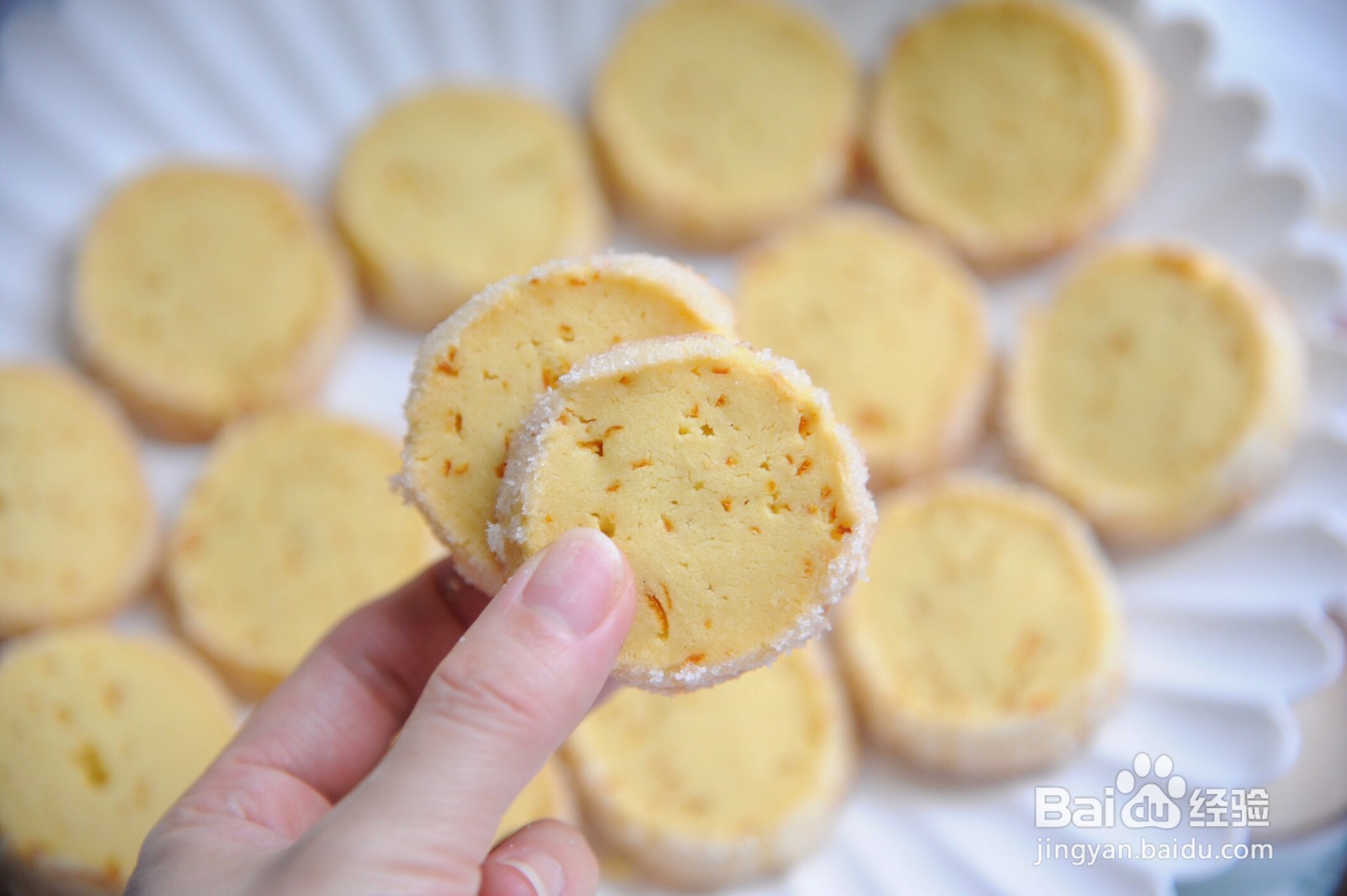 香橙莎布雷曲奇饼干怎么做