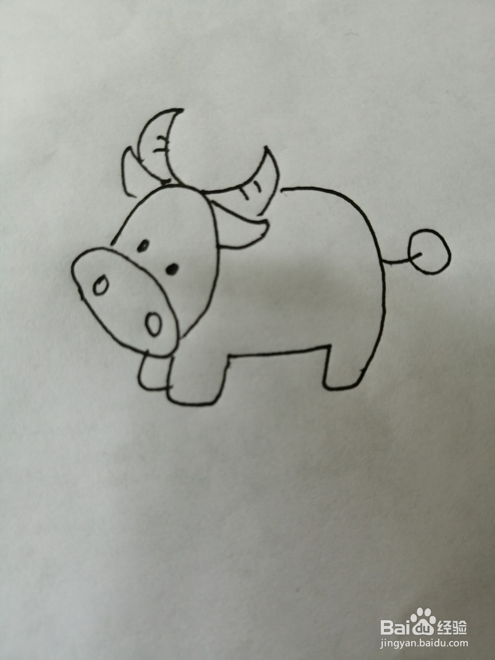 可爱的小牛怎么画