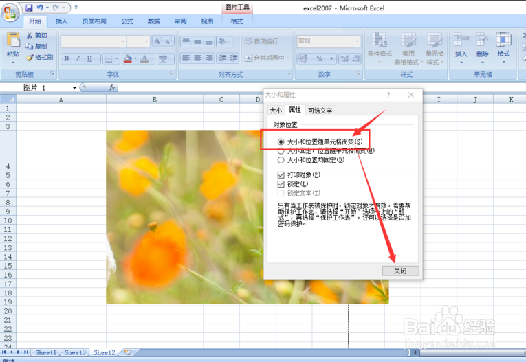 把图片插入到excel的单元格中