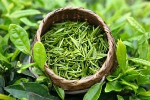 六种食物可助你口气清新，远离口臭