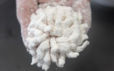 茄汁菊花鱼块的做法