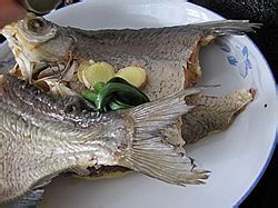【春游美食】----什锦土司卷