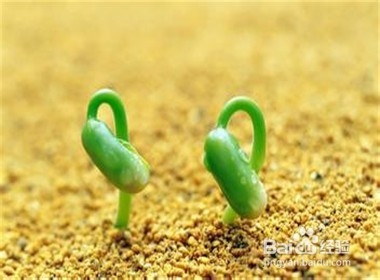 婚姻小秘书：[59]旧情书该扔掉吗？