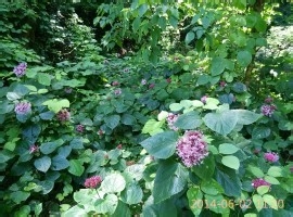 怎么打发闲余时间呢？