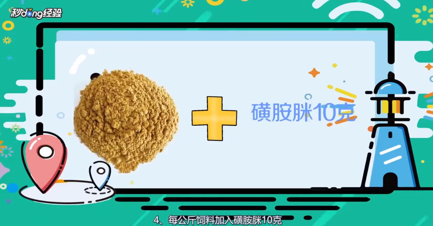 如何救活快死的小鸡呢