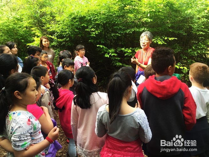 温哥华自然公园学校郊游活动