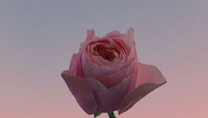 早安的唯美句子