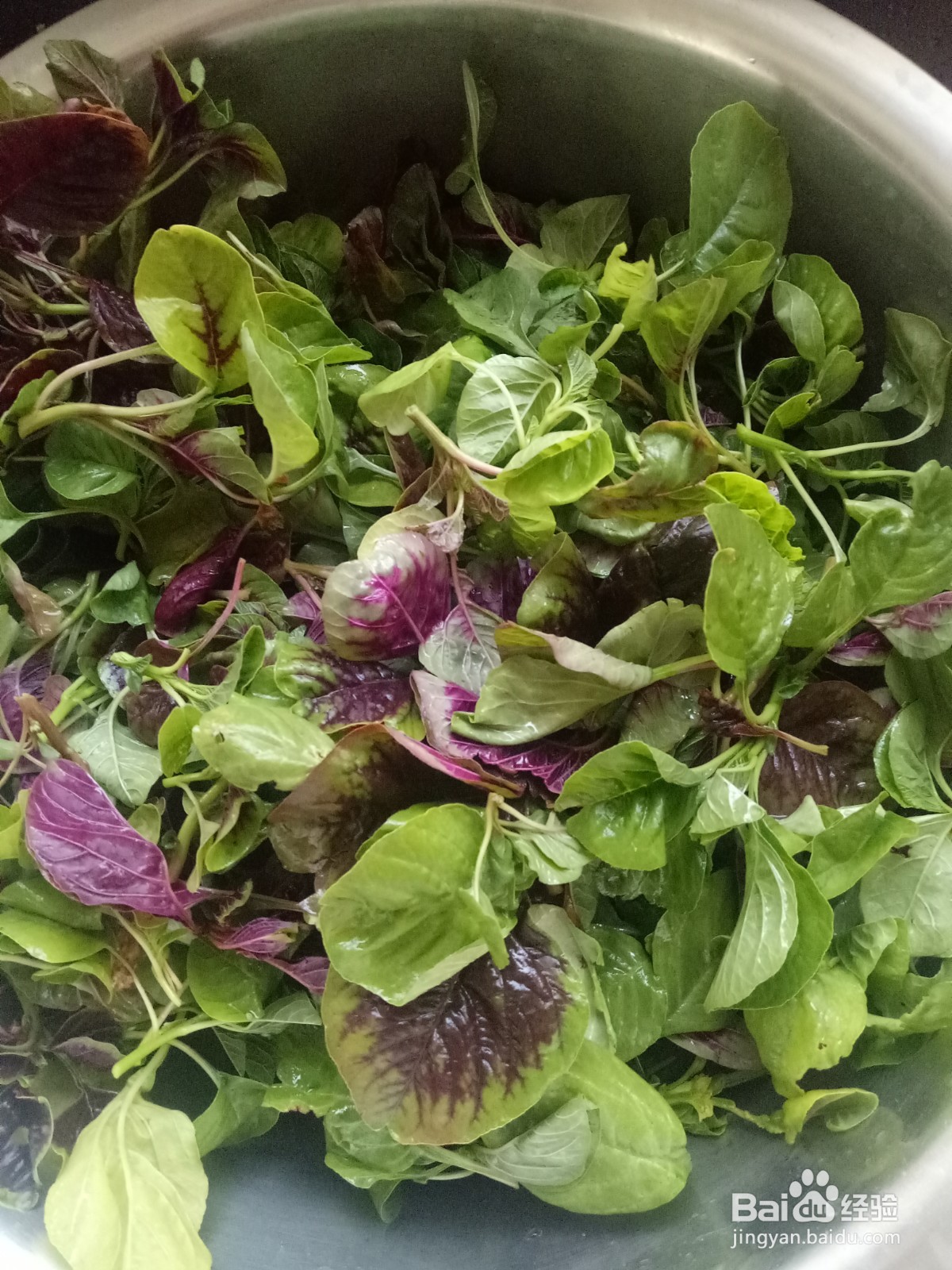 清炒苋菜怎么做