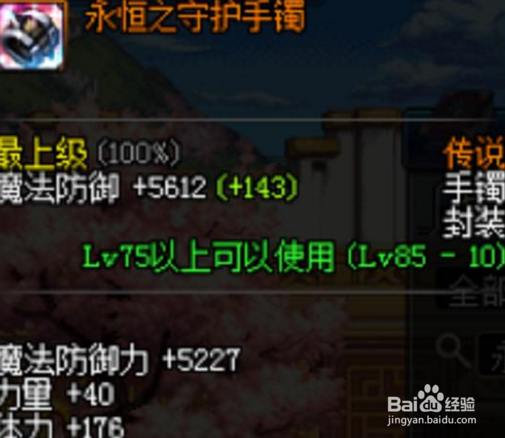 DNF里的减伤套可以在团本里使用吗如何搭配