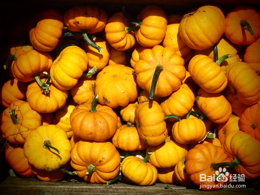 不能在一起吃的食物2