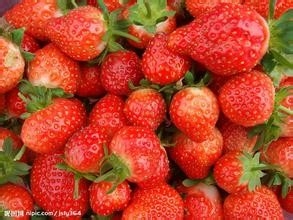 每个月吃什么水果最好