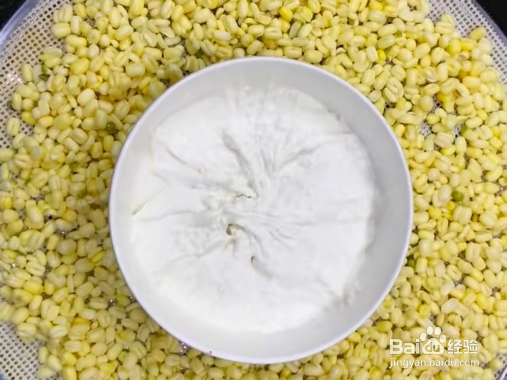 冰皮月饼怎么做