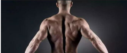 瘦人如何快速增肌