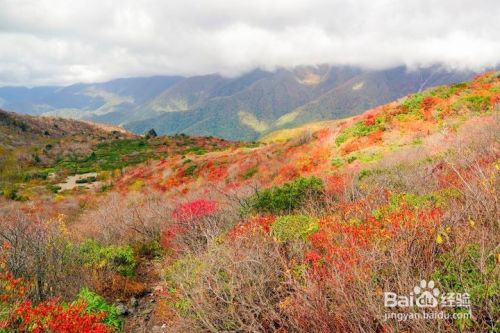 日本栃木县那须今年必去5个红叶观赏景点推荐 百度经验