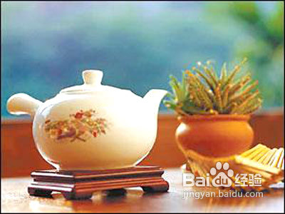 12种刮油消脂茶DIY