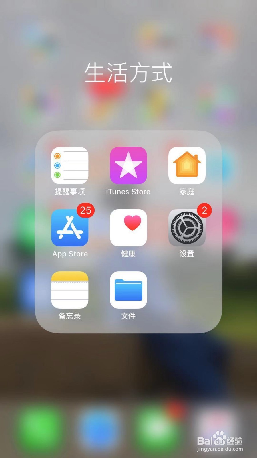 iPhoneSE手机怎么关闭放大器