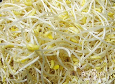 小熊豆芽机价格？家用小型豆芽机品牌？