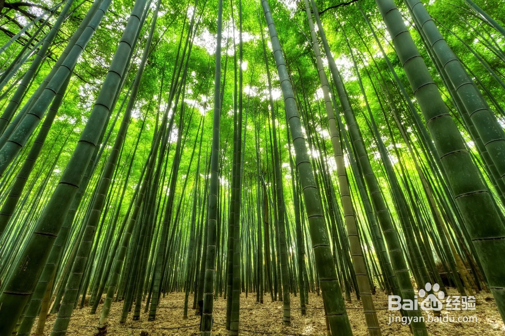 如何挑选优质本色纸