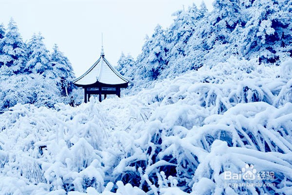 雪花怎么形容