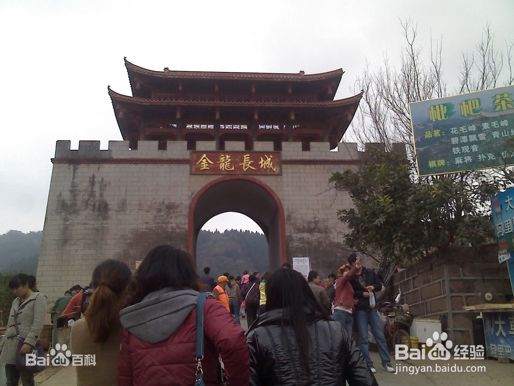 【校园指南】四川师范大学成龙校区出行篇