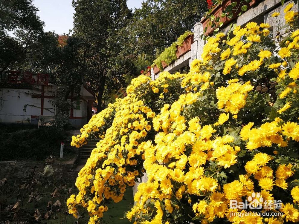 如何帮助孩子增加同情心