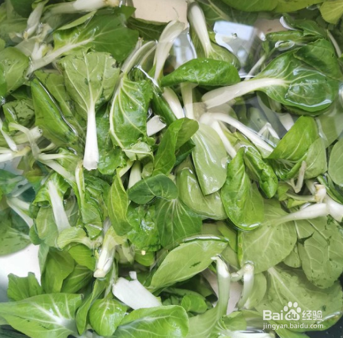蒜蓉小青菜的做法