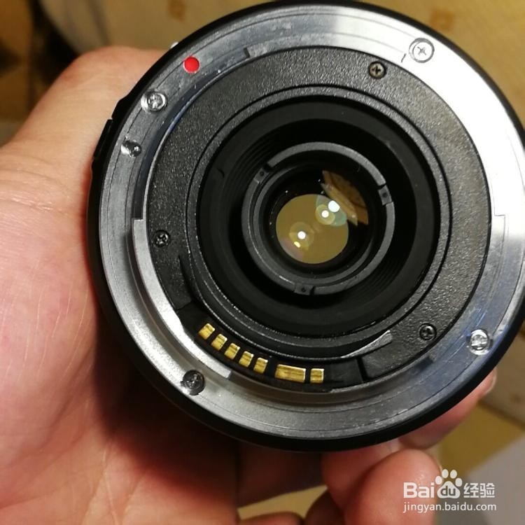 摄影中如何正确理解变焦与对焦的区别