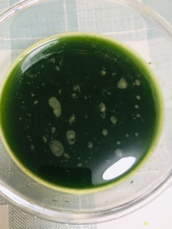 香兰叶马蹄千层糕