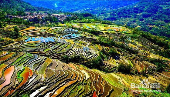 云南旅游有哪些不该错过的体验？