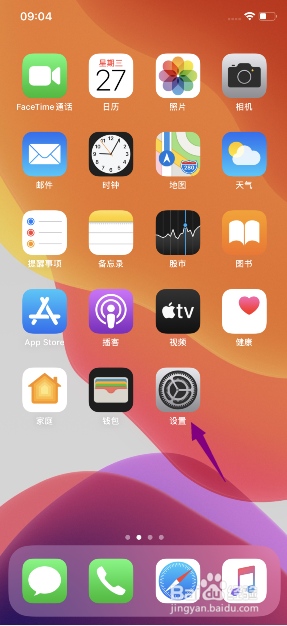 苹果11怎么看内存