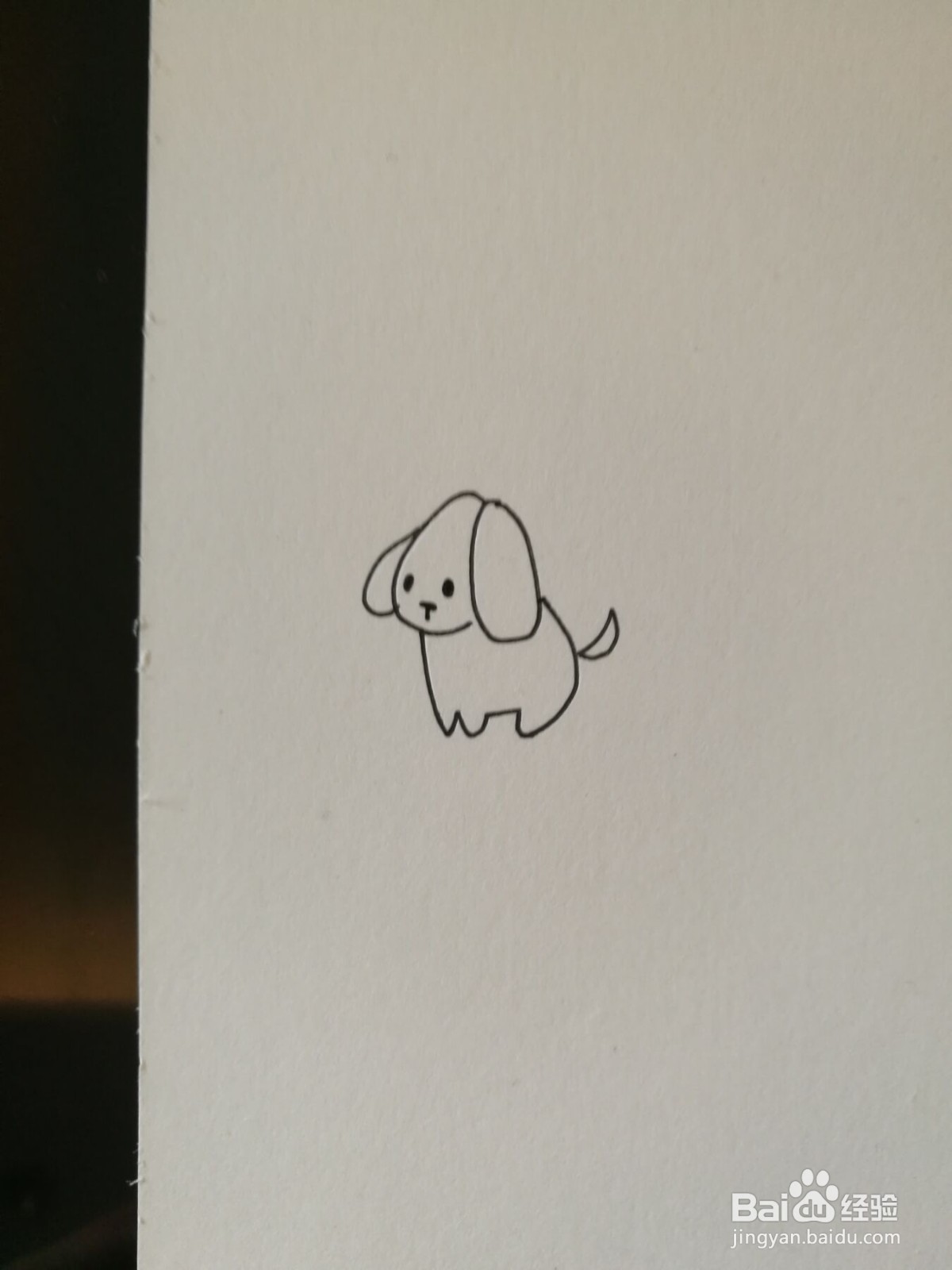 小狗的简笔画