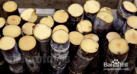 子宫肌瘤病人吃什么好