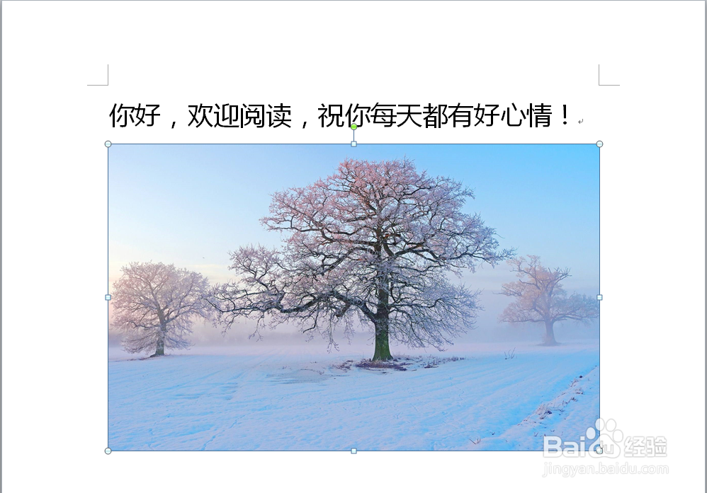 word怎么插入图片及修改图片样式