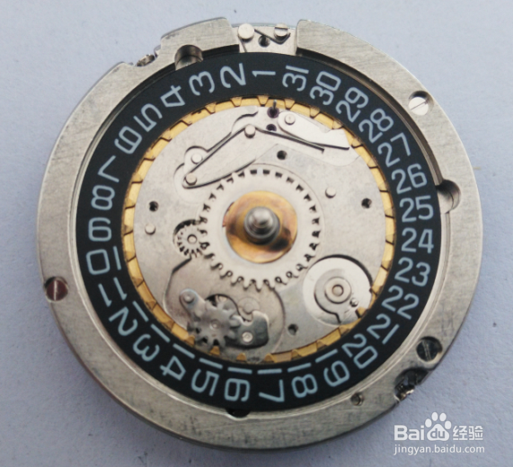 拆解海鸥机芯t25