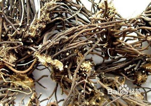 威灵仙的功效与作用