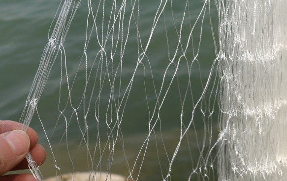 丝网内径10厘米是禁用渔具吗