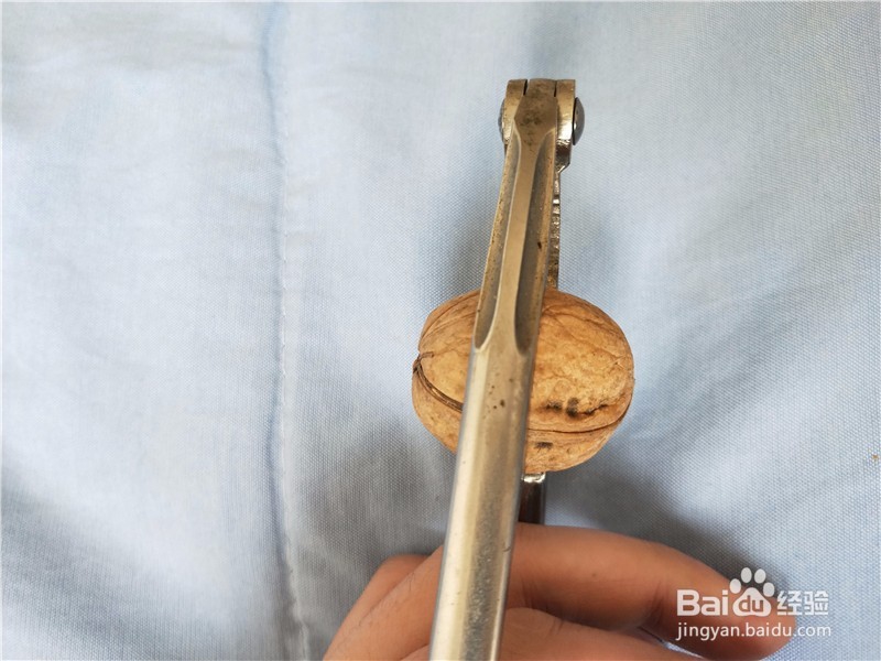 核桃钳子如何轻松快速的打开核桃